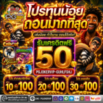 สล็อตเงาะ คืนยอดเสีย100%ทุกวัน